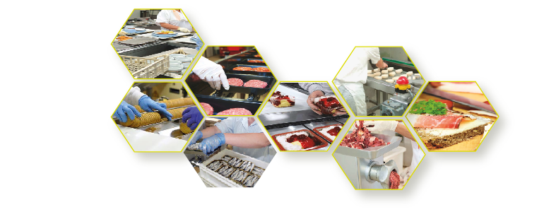 Secteur Agroalimentaire- Industries Agroalimentaires (viandes, lait et produits laitiers, produits élaborés, céréales, huile et corps gras, sucre et produits 